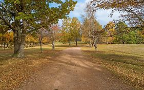 Blackwood Park Cottages Mole Creek